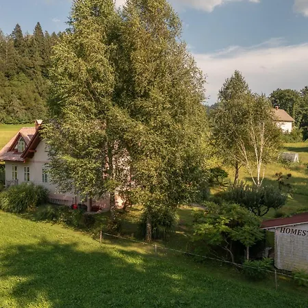 Vito By * ブレッド